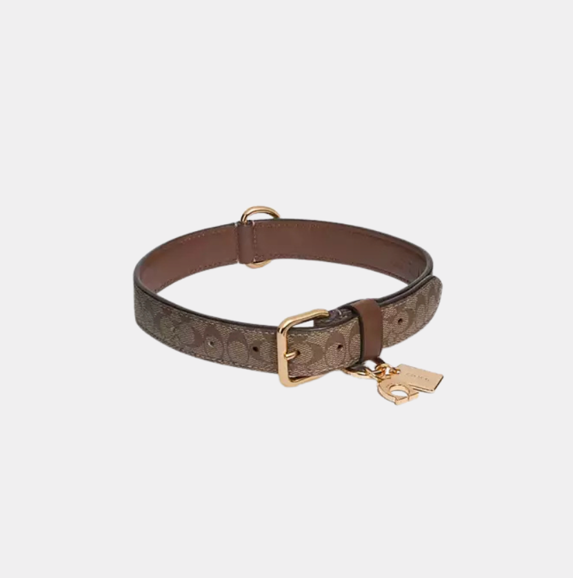 C Dog Collar