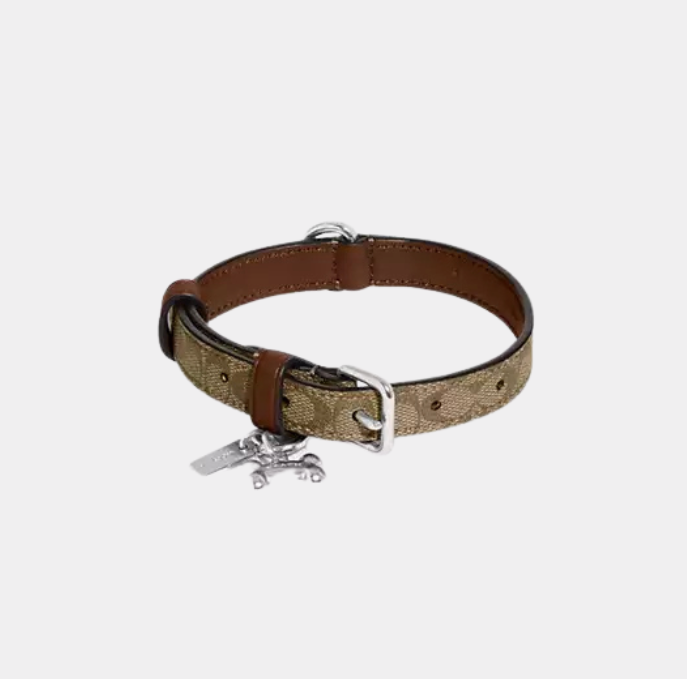 C Dog Collar